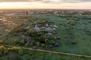Parcul Natural Văcăreşti caută voluntari pentru o nouă acţiune de combatere a ambroziei şi invită comunitatea să se implice în protejarea naturii urbane